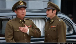 国产谍战电视剧,国产谍战剧中的智慧与忠诚